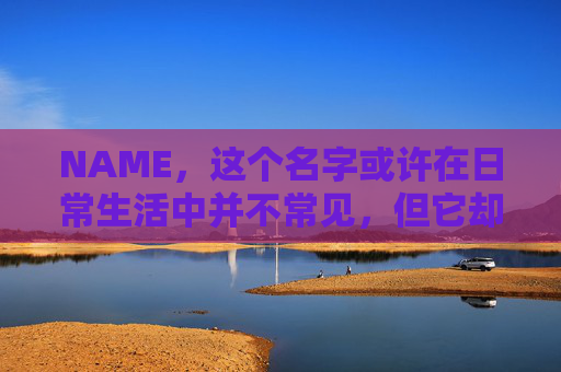 NAME，这个名字或许在日常生活中并不常见，但它却在某些领域里扮演着重要的角色。今天，让我们一起来探索这个名字背后的故事和意义